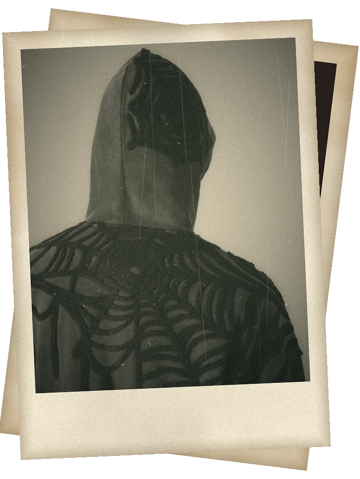 Spiderweb embroidery over the hood